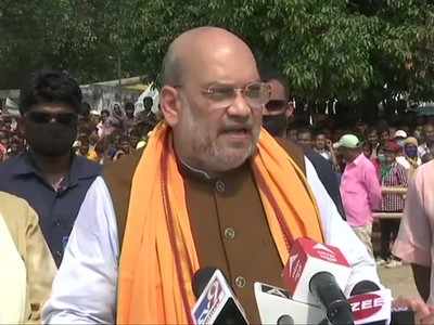 Didi trying to politicise the deaths, says Shah in Bengal