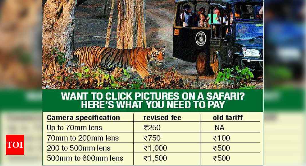 Camera fee hike in Bandipur irks wildlife enthusiasts | Bengaluru News -  Times of India