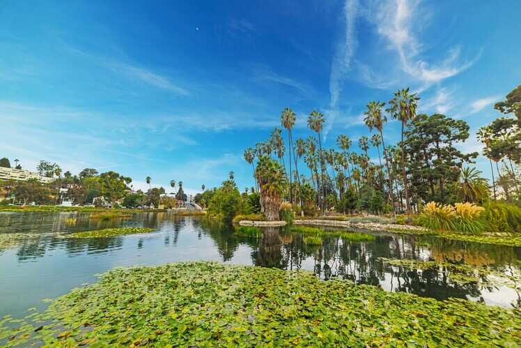 Spend a day with a family paddle boating on Echo Park Lake