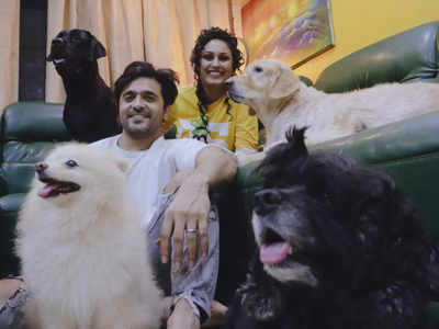 Know more about Ashish Sharma & Archana Taide Sharma’s 2 BHK & 4 dogs