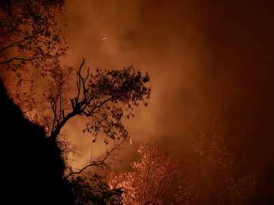 Engineering students at Amrita Vishwa Vidyapeetham develop forest fire early detection system