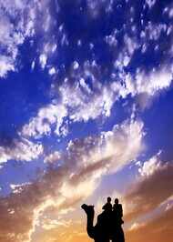 Ipl 2021 Mi Vs Rcb Harshal Patel Ab De Villiers Help Royal Challengers Bangalore Pip Mumbai Indians By Two Wickets Cricket News Times Of India