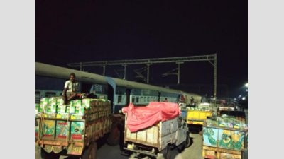 Train services supplying mangoes from Andhra to Delhi, begin