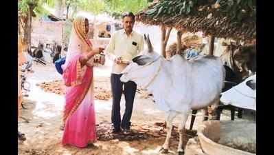 RSS campaign to promote cow based non-chemical farming