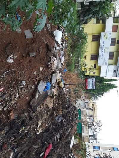 Waste in the Residential area of Triveni Nagar
