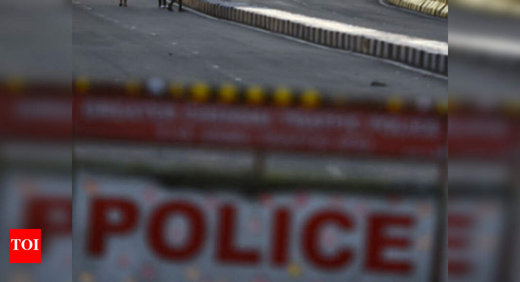 Freed on bail after murder of wife, man kills self