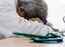 My COVID Story: "I mistook COVID for a routine flu"