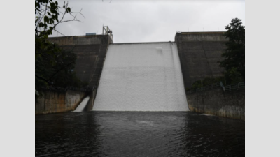 Tamil Nadu: Water level in Sothuparai dam goes up by 9 feet in single day