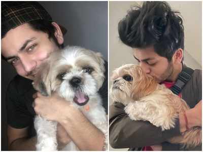 Abhishek Nigam: My dog 'Wasooli' the best thing to happen to us last year