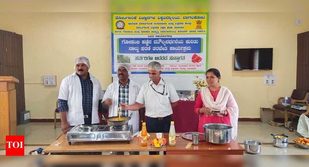 Karnataka: Cashew cultivation to be encouraged in Dharwad district | Hubballi News - Vimarsana News