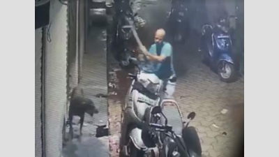 Mumbai: Andheri man caught on CCTV for hitting dog with rod