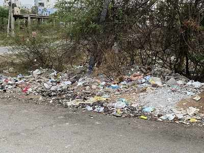 road sides becomes the garbage dumps