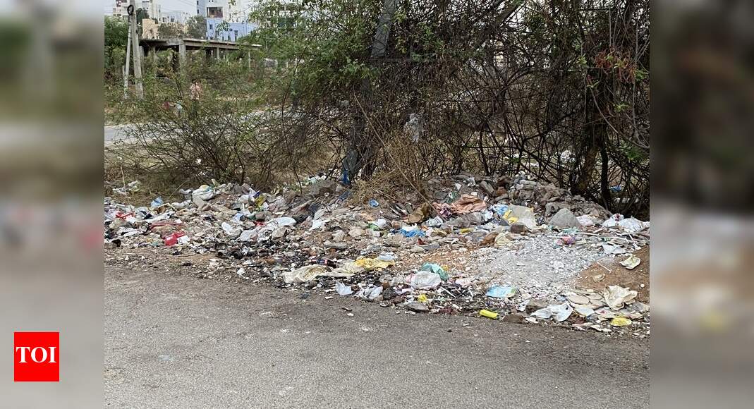 road sides becomes the garbage dumps - Times of India