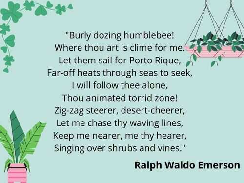 Earth Day: Poems on nature by popular authors | The Times of India Earth Day: Poems on nature by popular authors | The Times of India