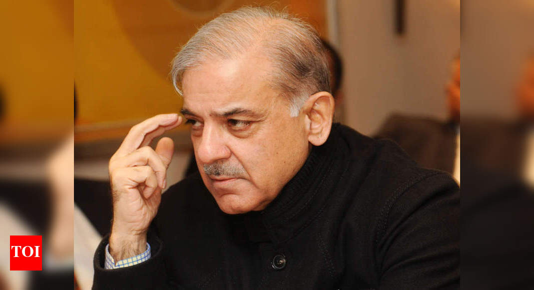 Pakistan court grants bail to Shehbaz Sharif