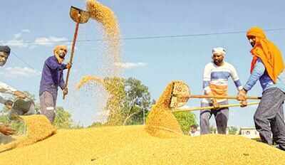 80cr to get 5kg of free grain under NFSA for next 2 months