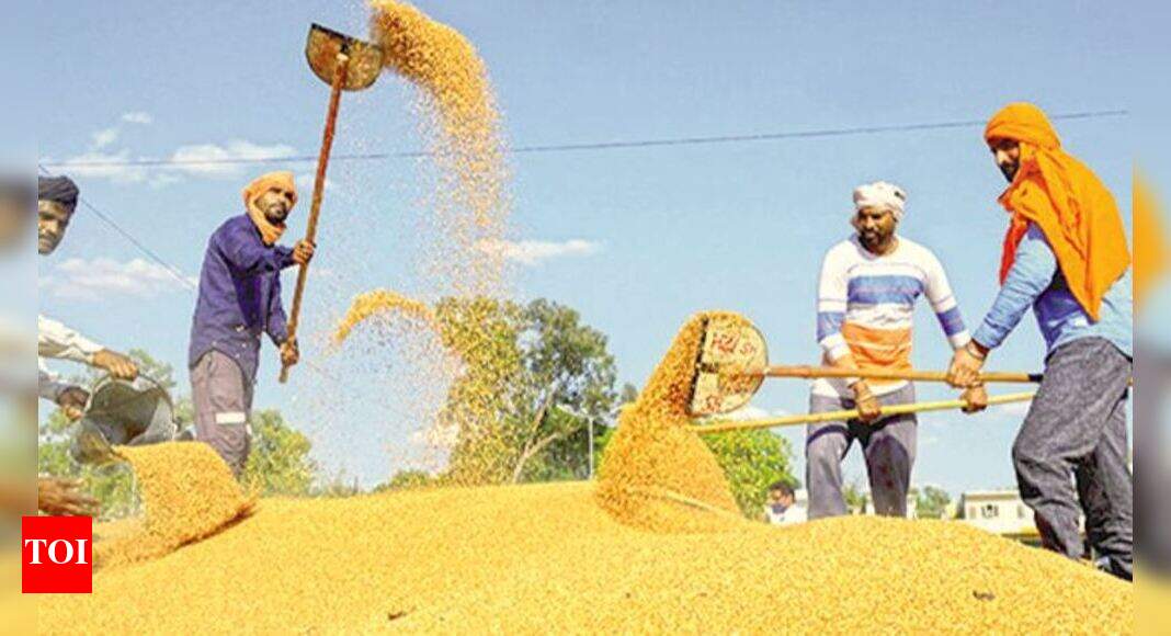 80cr to get 5kg of free grain under NFSA for next 2 months | India News