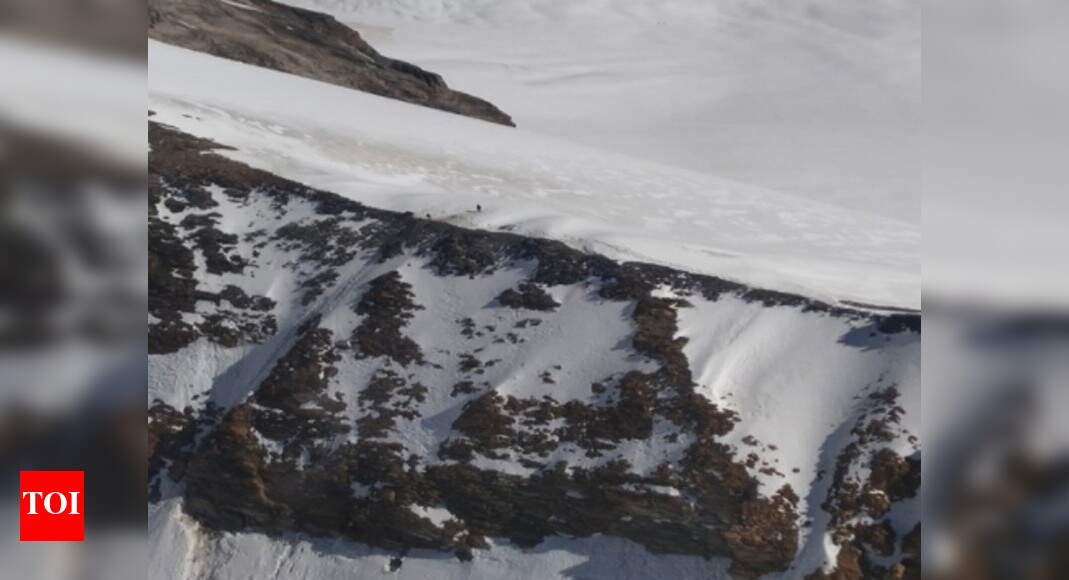 Uttarakhand glacier burst: Indian Army rescues 291 in Neeti Valley | India News