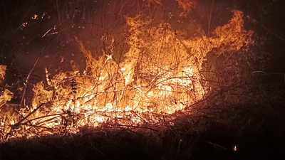 Massive forest fire breaks out in Mizoram