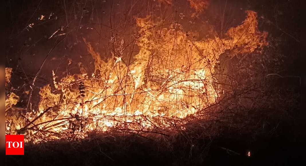 Fire In Mizoram Massive Forest Fire Breaks Out In Mizoram Guwahati News Times Of India