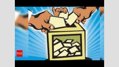 UP panchayat polls: 36.39 pc turnout till 1 pm in third phase