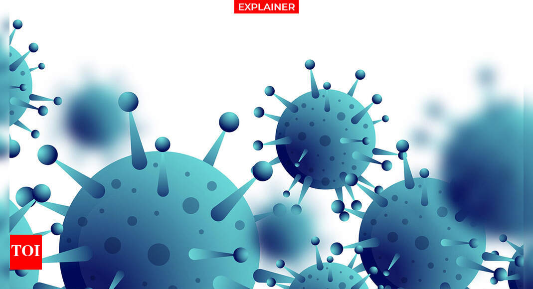 Double mutant Covid variant Explained: The many faces of the ‘double ...