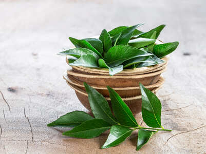 Herbal paste that can help you boost immunity