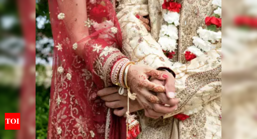 Tripura DM apologises over raids at wedding