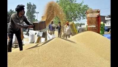 No shortage of gunny bags, 5L farmers paid Rs 14,958cr