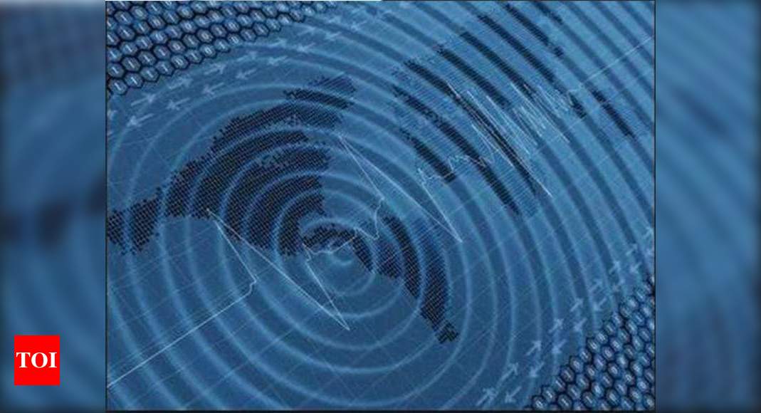 2.8 magnitude earthquake in Assam | India News - Times of ...