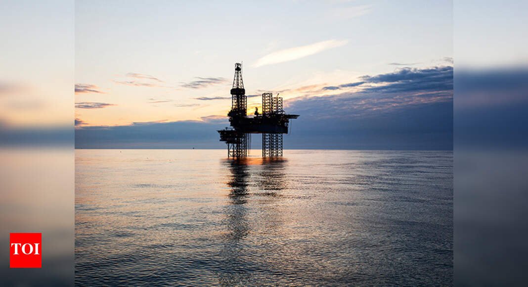 ONGC open to tie-ups for prospecting new basins, flags 'critical ...