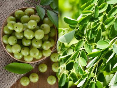 Amla moringa shot to boost immunity