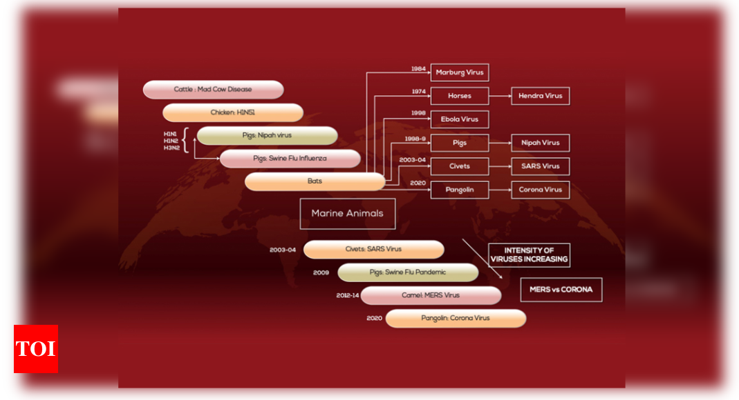 COVID 19: Human consumption of pandemics / badgers caused a pandemic. Why can’t I eat beef / chicken / pork? Please?