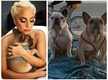 
Lady Gaga's dognapping case: 5 arrested for theft and shooting, including woman who returned stolen dogs
