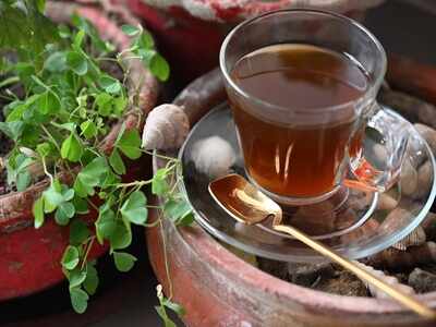 Giloy tea: Instant options of herbal tea with numerous health benefits