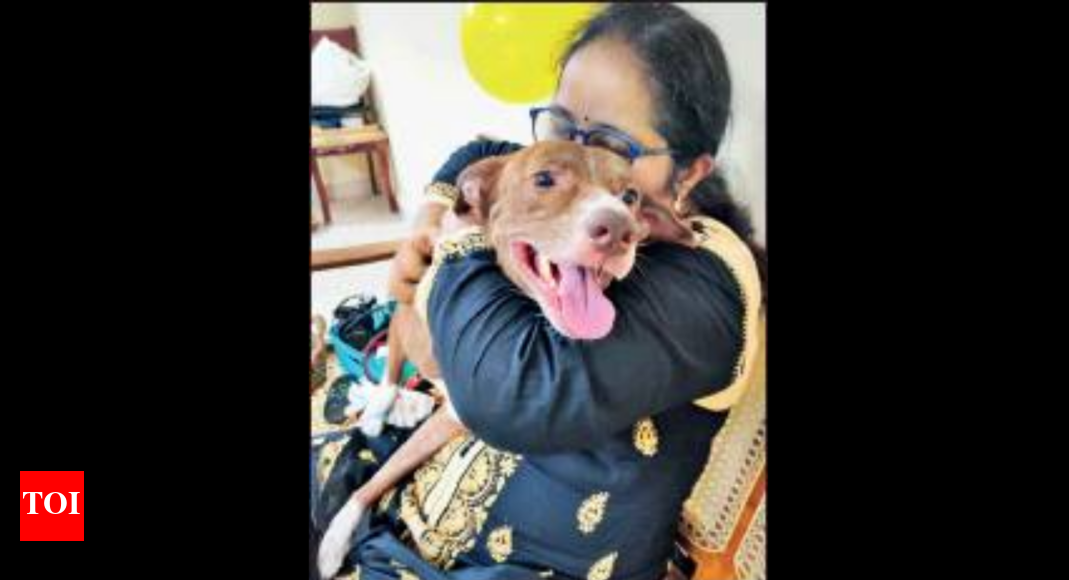 Tamil Nadu Pet boarding comes to the rescue of Covid affected