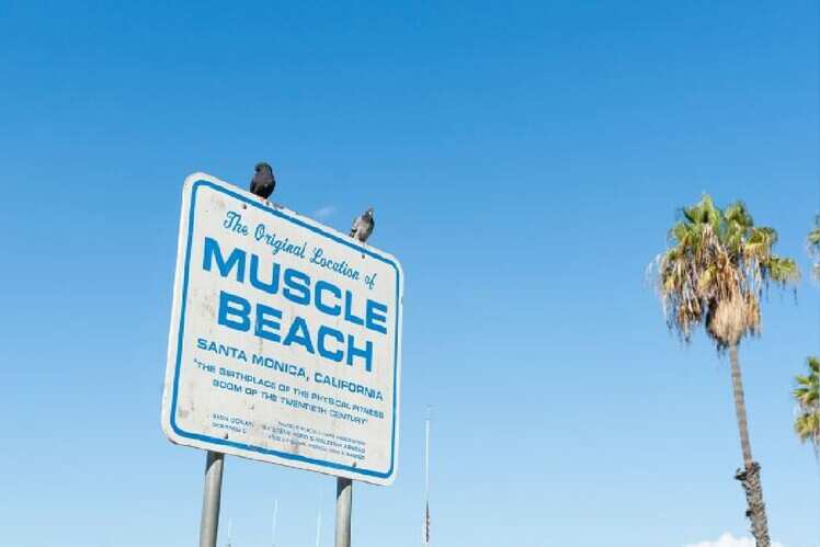 Get a workout in