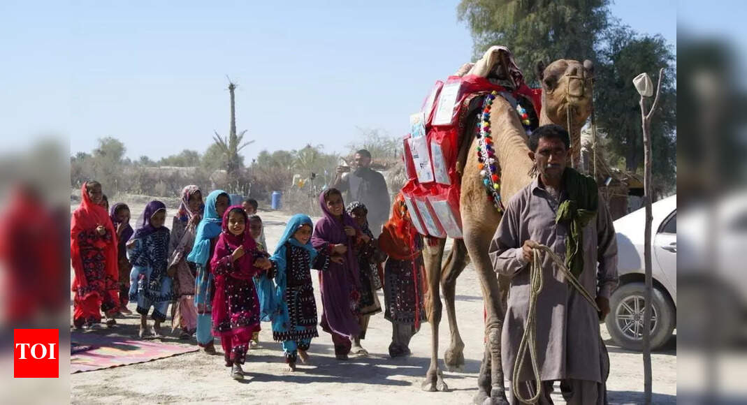 Roshan the camel brings books to homeschooling children in rural ...