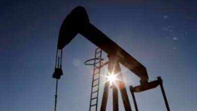 Opec's share of Indian oil imports plunges to two-decade low: Report