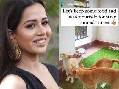 Raiza urges fans to care for stray animals during summer | Tamil Movie News  - Times of India