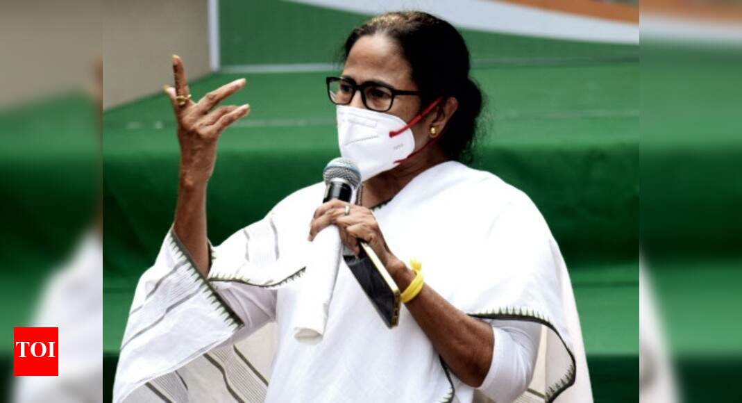 Brand Mamata, Bengali pride and caste math neutralised BJP | Kolkata News - Vimarsana News
