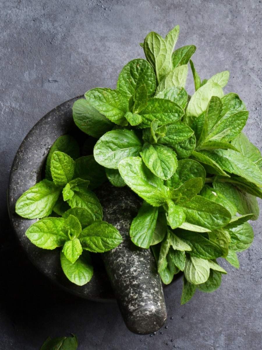 Mint Benefits: 10 amazing ways to use fresh mint | Times of India