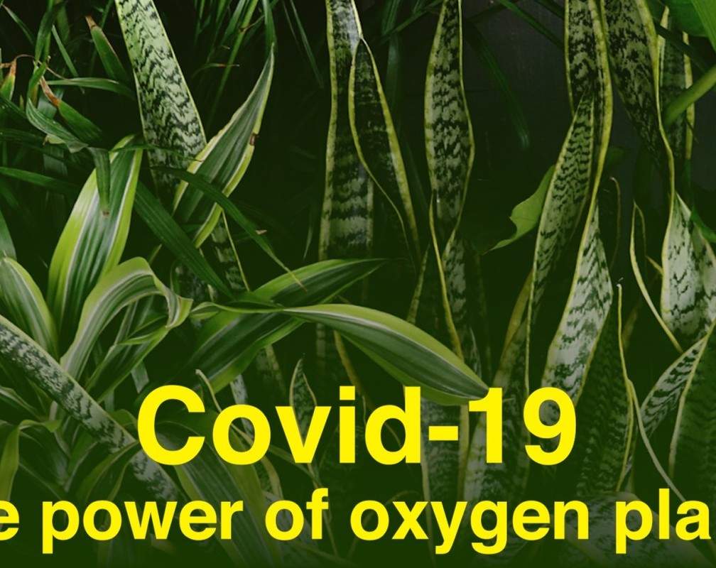 
Can plants help boost oxygen levels at home?
