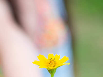 7 ways to raise a compassionate child