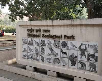 Covid-19: Delhi zoo sends samples of animals to Indian Veterinary Research  Institute as 'precautionary measure' | Delhi News - Times of India