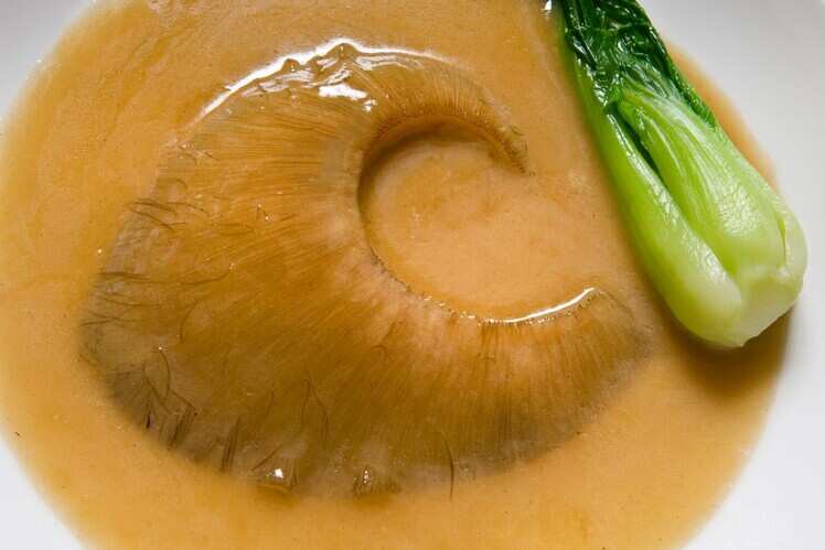 Shark fin soup