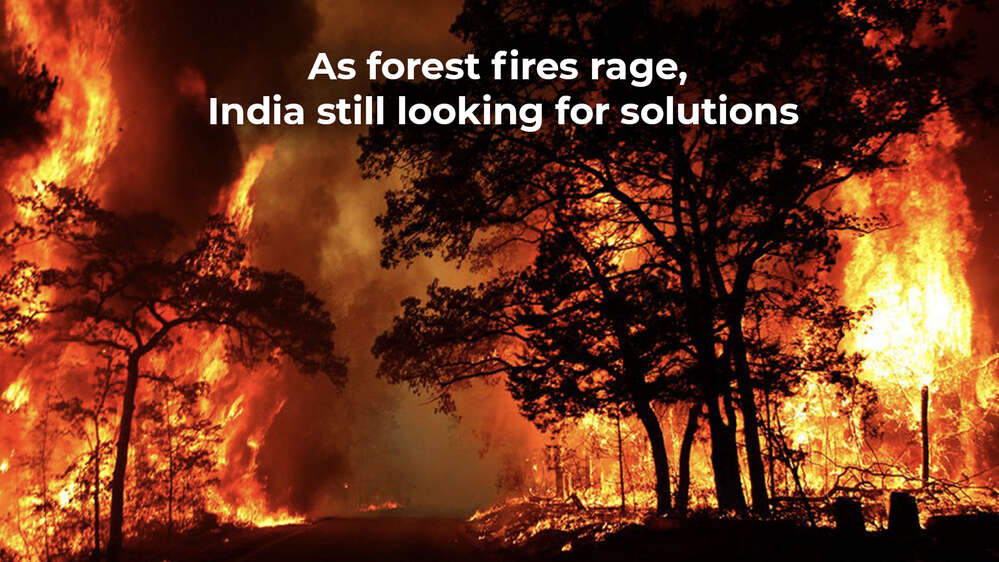 As forest fires rage, India still looking for solutions