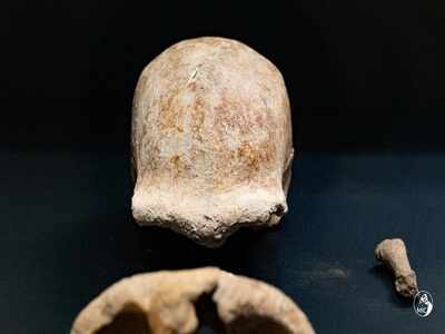Evidence of nine Neanderthals found in Italian cave - Times of India