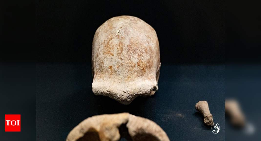 Evidence of nine Neanderthals found in Italian cave – Times of India