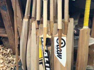 Bamboo instead of willow for cricket bats? UK researchers say idea worth exploring